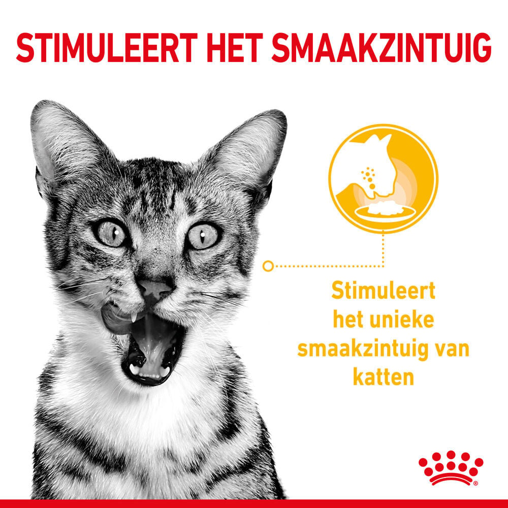Royal Canin Sensory Taste - Kattenvoer - 1020 Gram