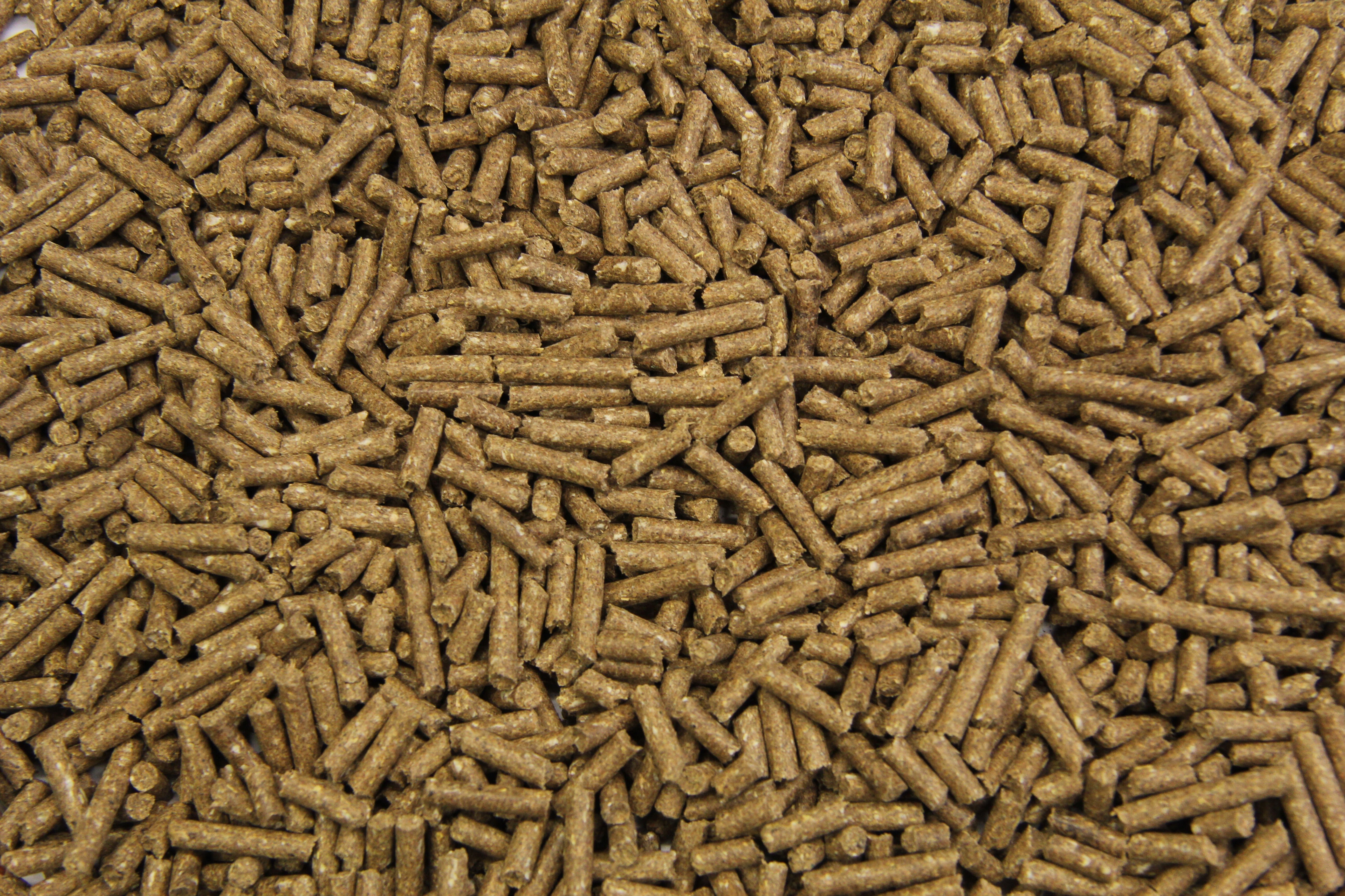 Subli Basisbrok - Basisvoeding - Paardenvoer - 20 Kilogram - Zak