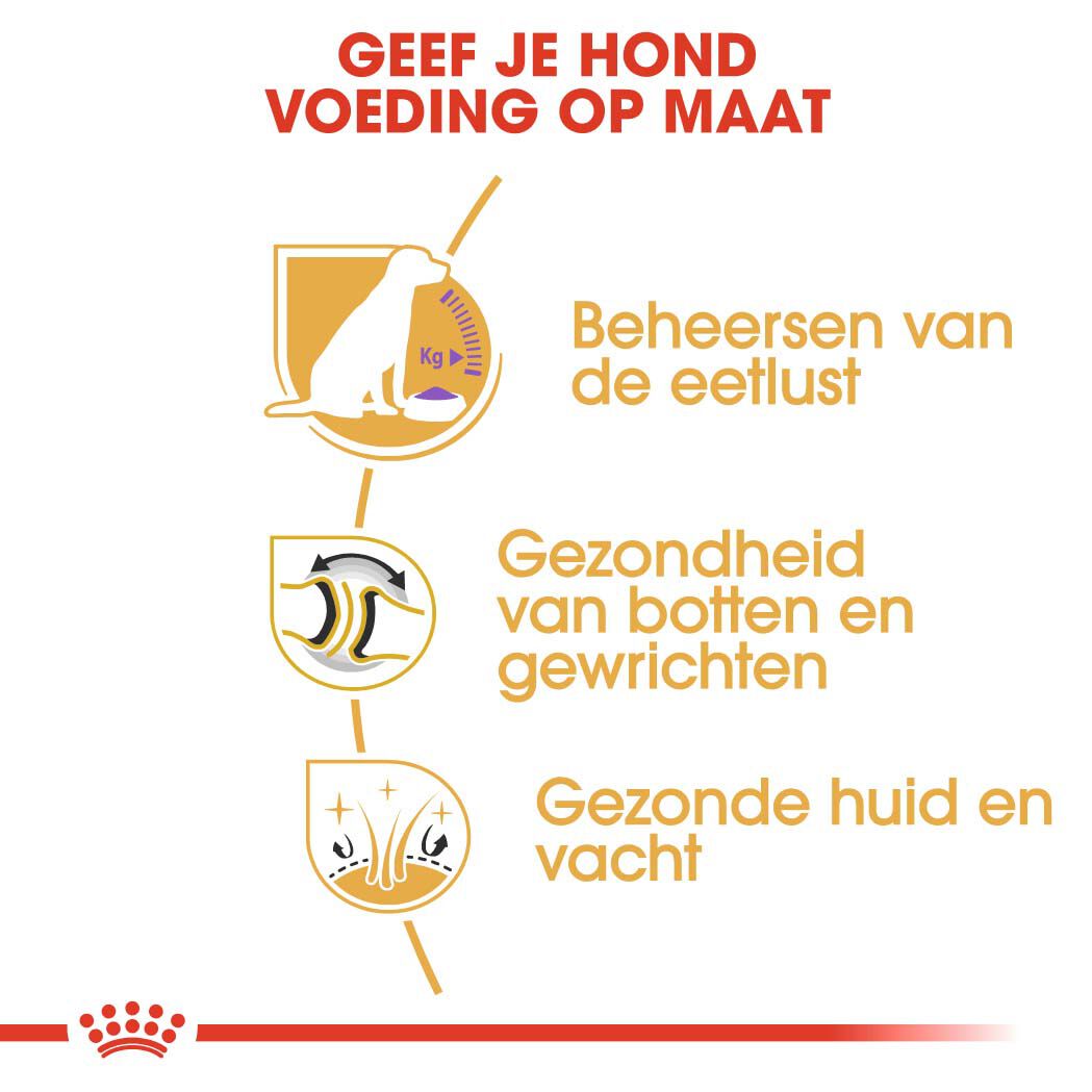 Royal Canin Labrador Retriever Sterilised - Hondenvoer - 3 Kilogram - gevogelte