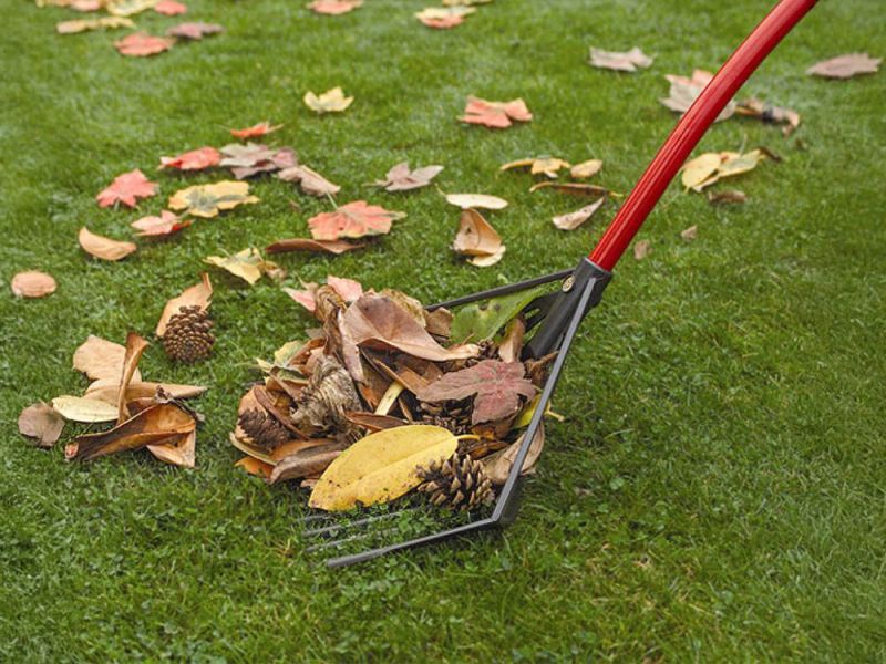 Golden Gark 18 tands - Tuinhark - 39 cm - 110 cm