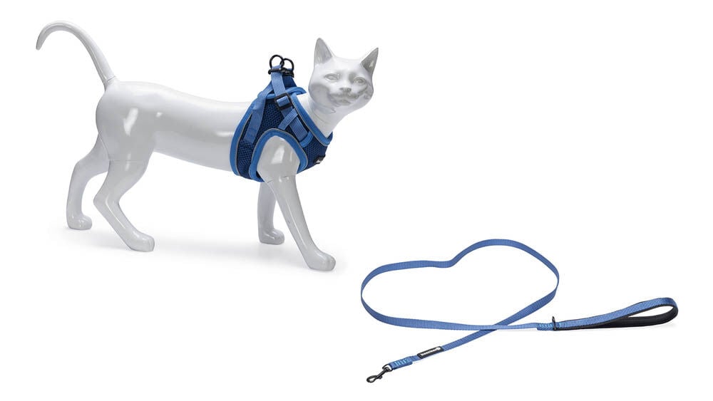 Beeztees Parinca - Kattentuigje - Blauw - S-M Beeztees Parinca - Kattentuigje - Blauw - S-M