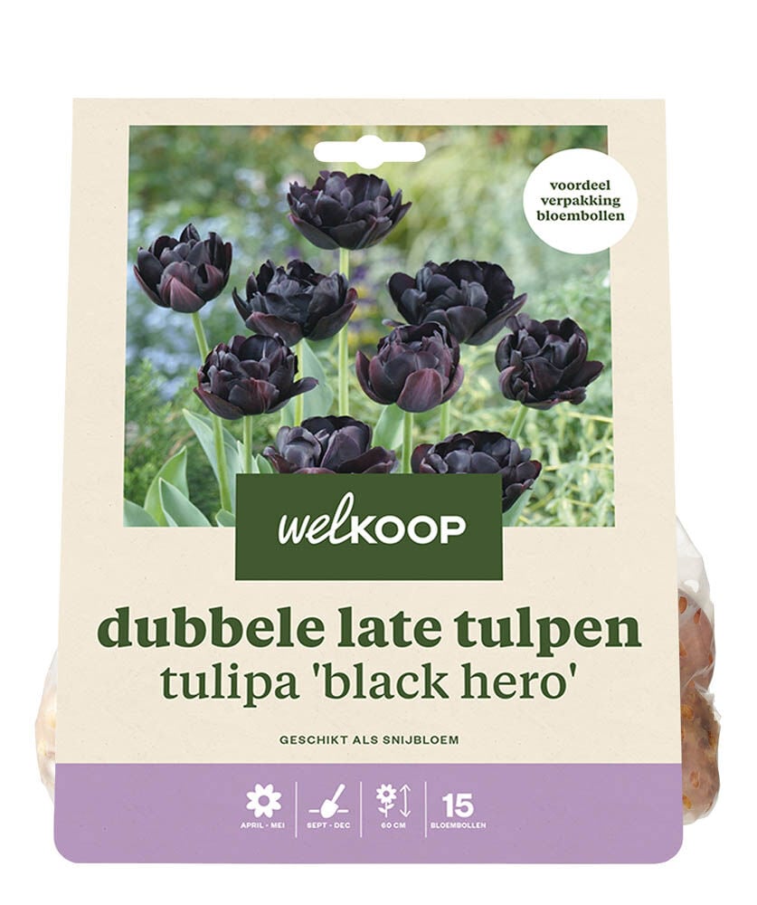 Welkoop Dubbele Tulp Maaike - Bloembollen