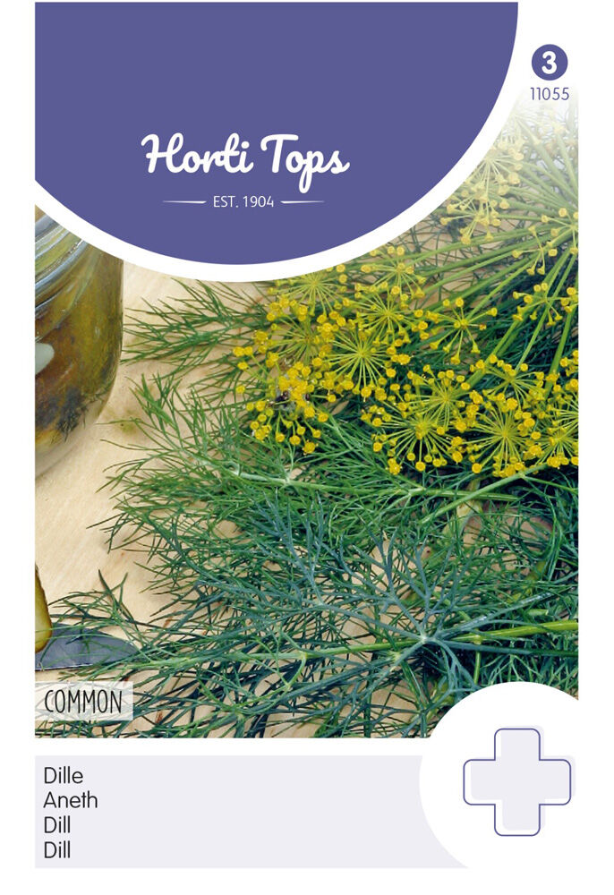 Hortitops Dille Anethum graveolens - Kruidenzaden