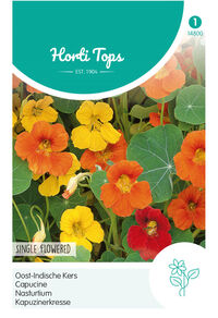Hortitops Oostindische Kers Rankend - Bloemzaden