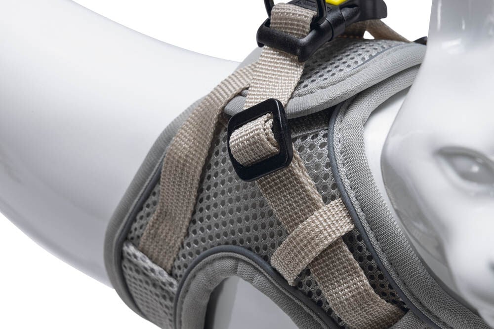 Beeztees Parinca - Kattentuigje - Grijs - S-M