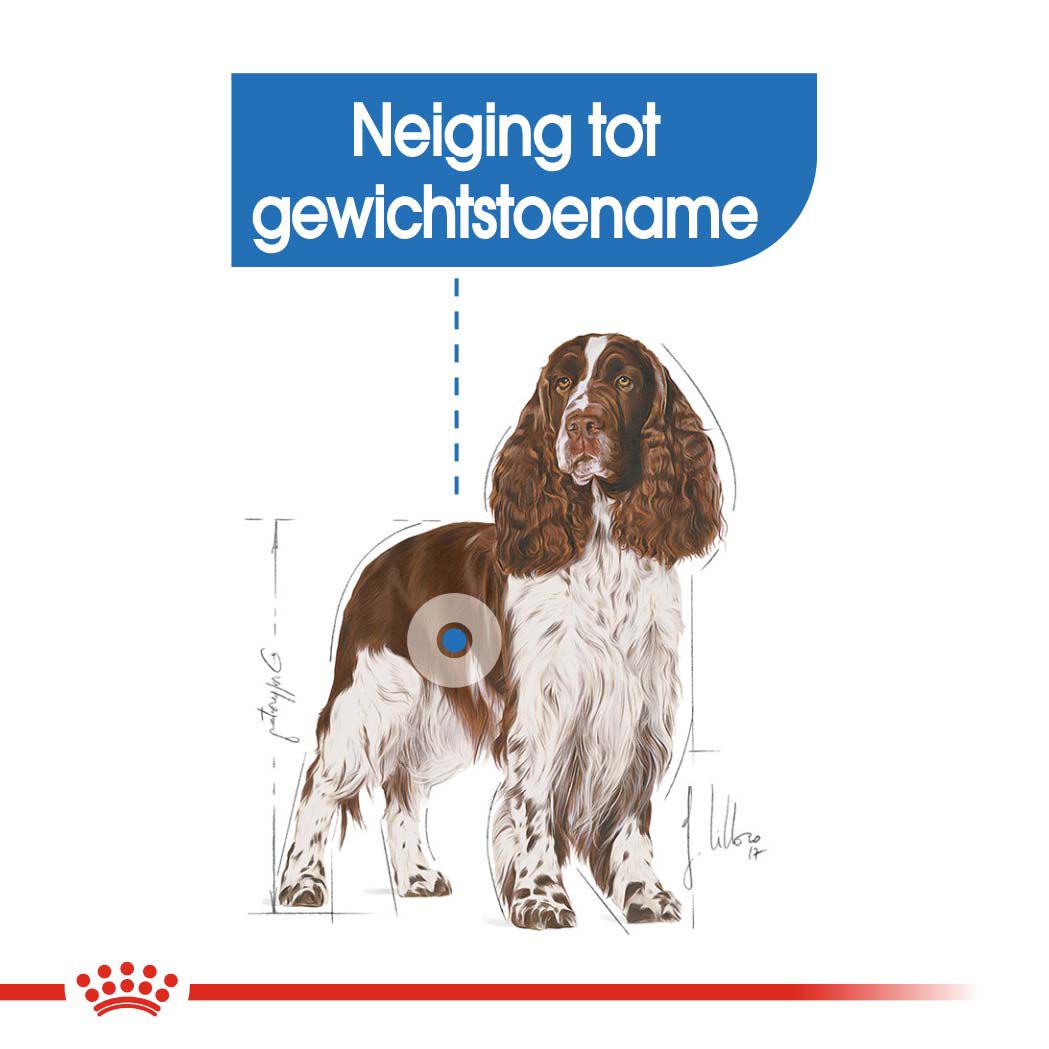 Royal Canin Light Weight Care Medium Adult - Hondenvoer - 12 Kilogram - gevogelte