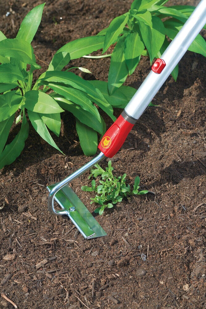 WOLF-Garten Multi-star Bietenhak HU-M15 15CM - Systeemgereedschap