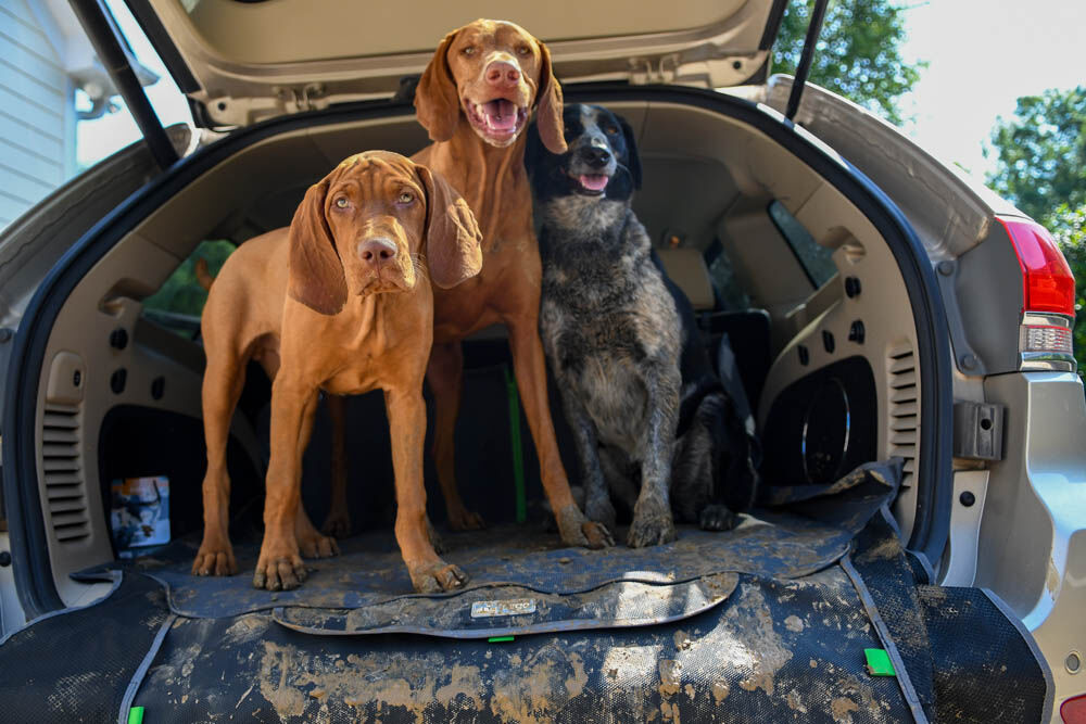 Kurgo Cargo Cape Kofferbak - Beschermhoes - grijs - 1x157x1 cm