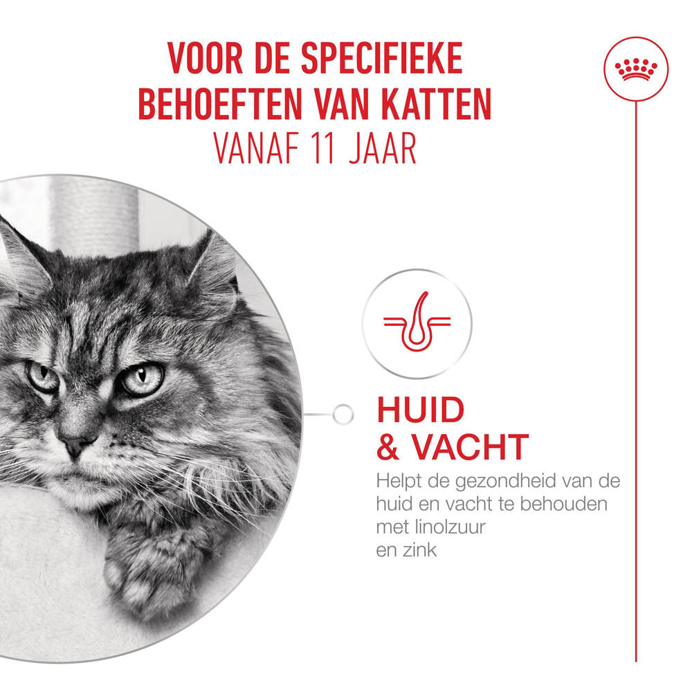 Royal Canin Ageing 11+ - Kattenvoer - 12 Stuks