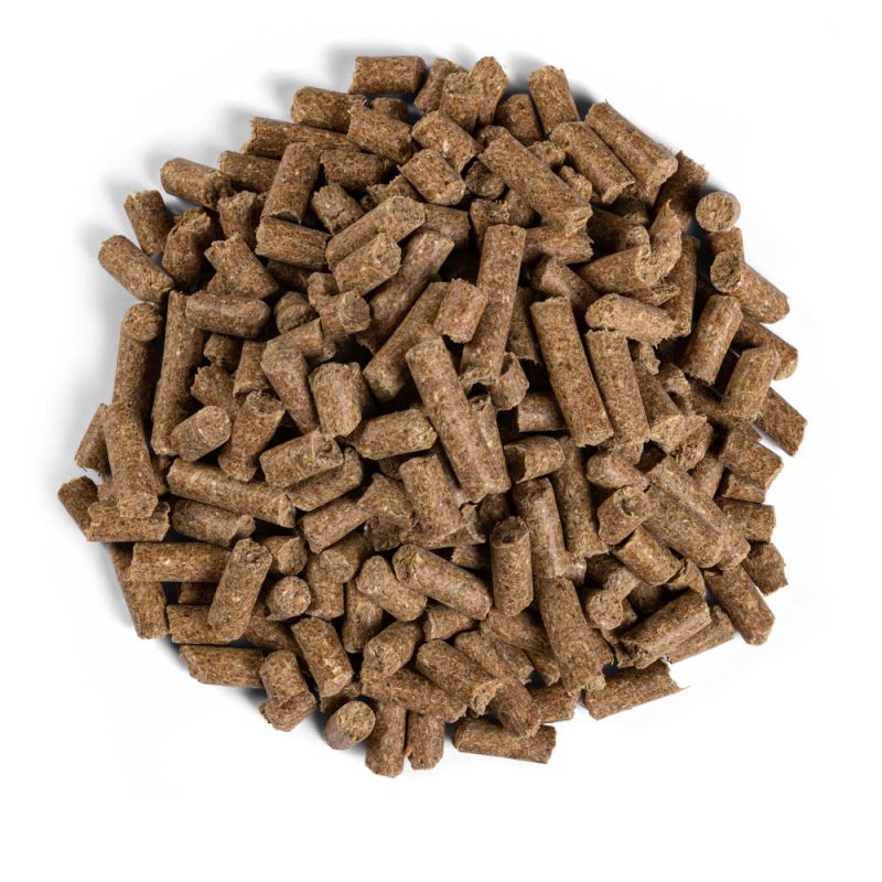 Equilannoo Sport Cube - Sport/ Prestatie - 20 Kilogram