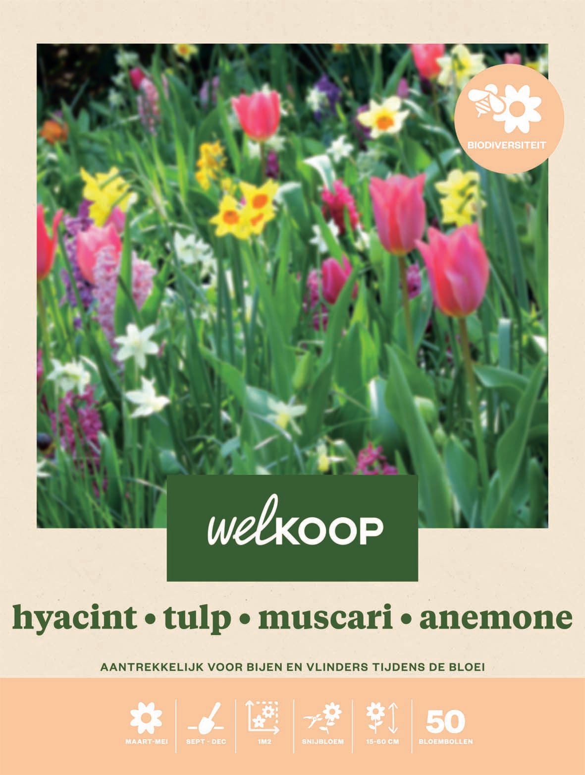 Welkoop Hyacint Tulp Narcis Blauwe druifjes - Biodiversiteit - Bloembollen Welkoop Hyacint Tulp Narcis Blauwe druifjes - Biodiversiteit - Bloembollen