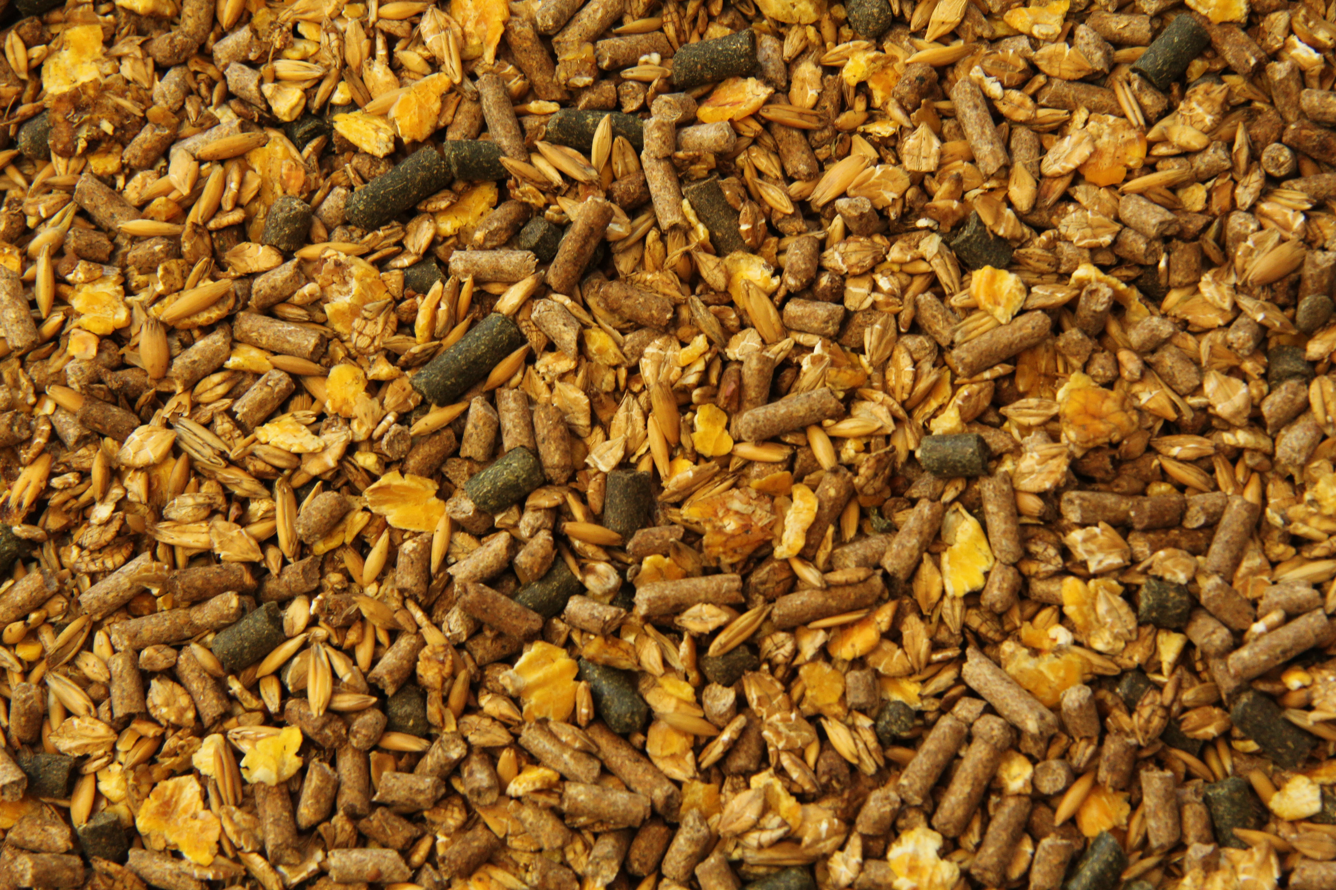 Subli Basismuesli - Basisvoeding - 20 Kilogram - Zak