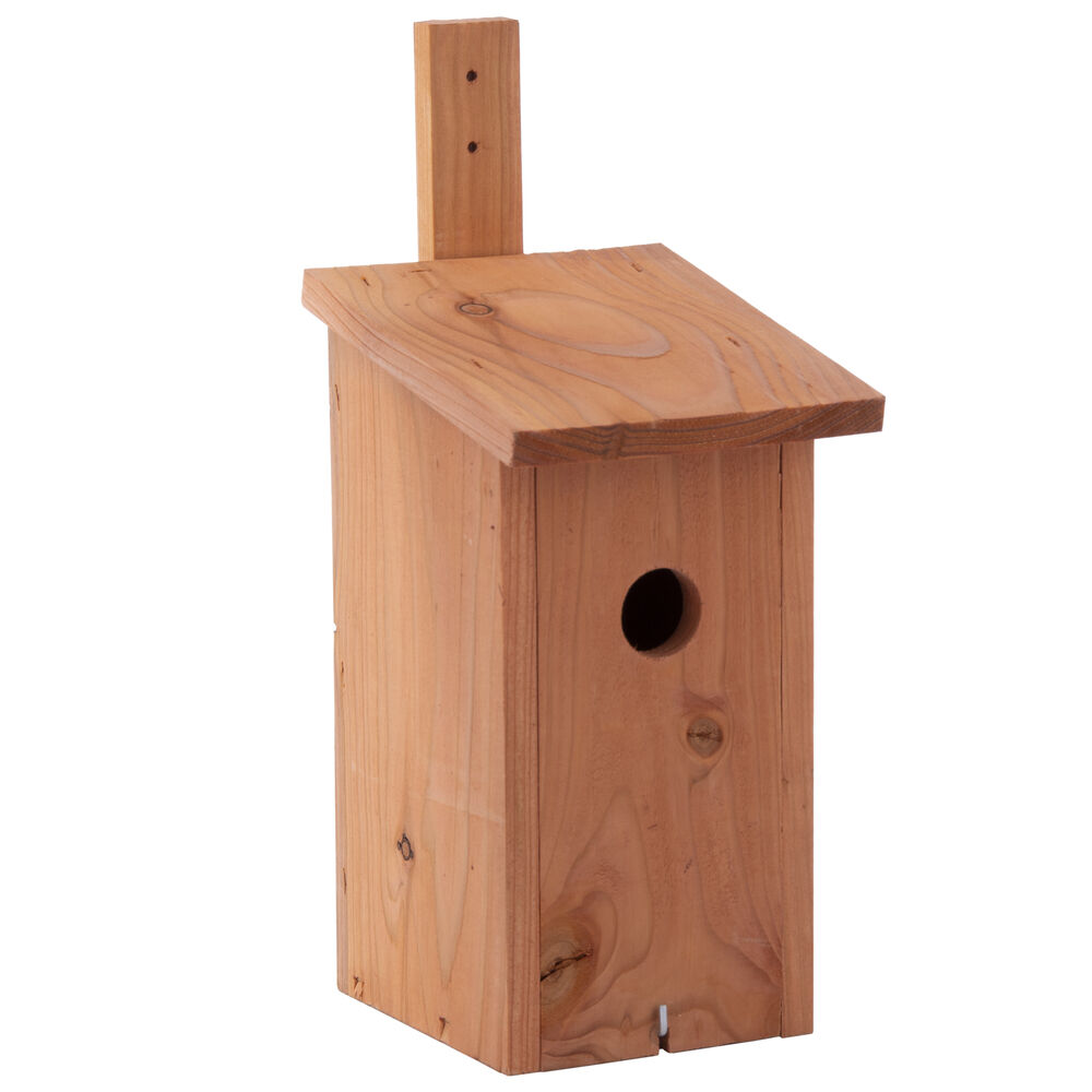 Welkoop Nestkast - Winterkoning - Hout - 30 mm