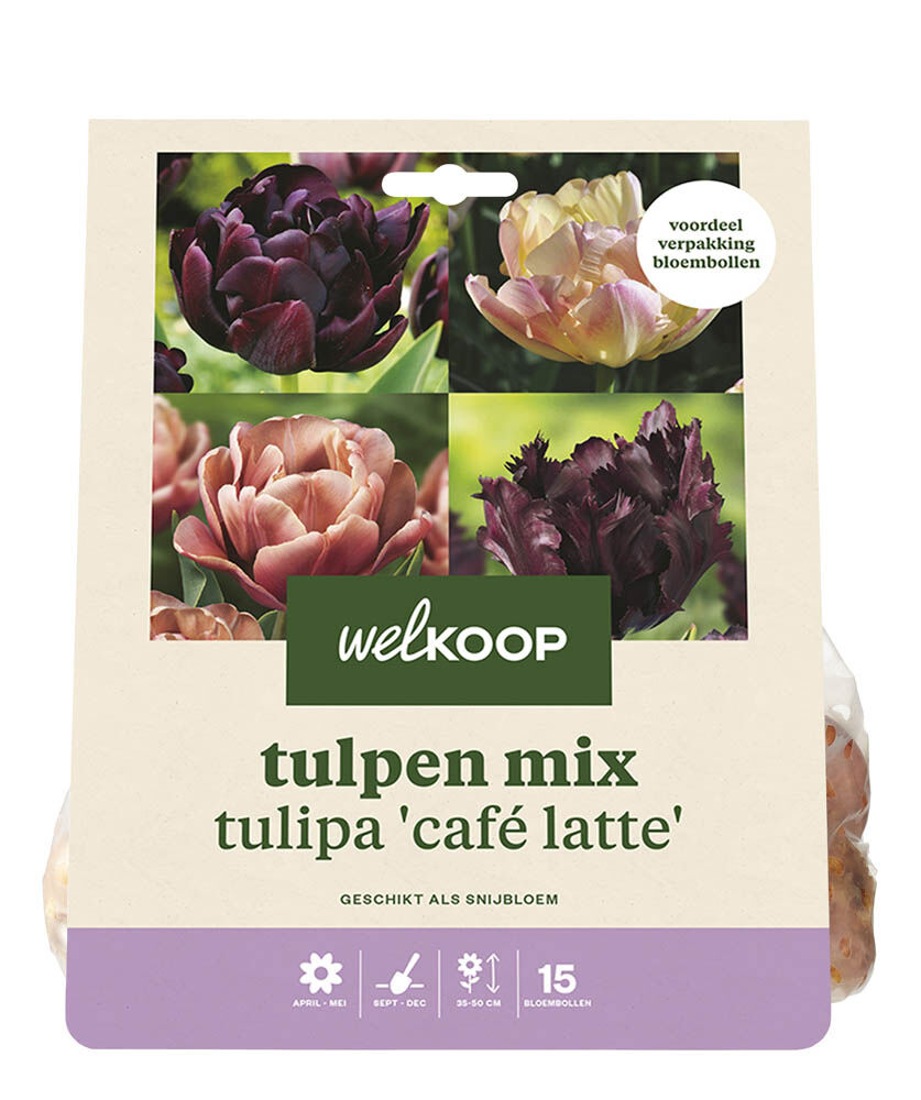 Welkoop Tulpen mix Evanita - Bloembollen