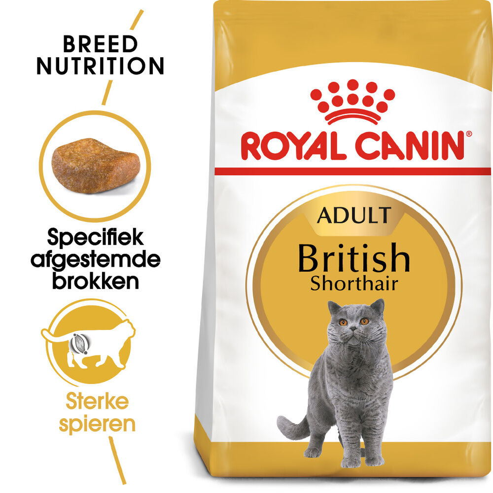 Royal Canin Britse Korthaar Adult - Kattenvoer - 0.4 Kilogram - Gevogelte Royal Canin Britse Korthaar Adult - Kattenvoer - 0.4 Kilogram - Gevogelte
