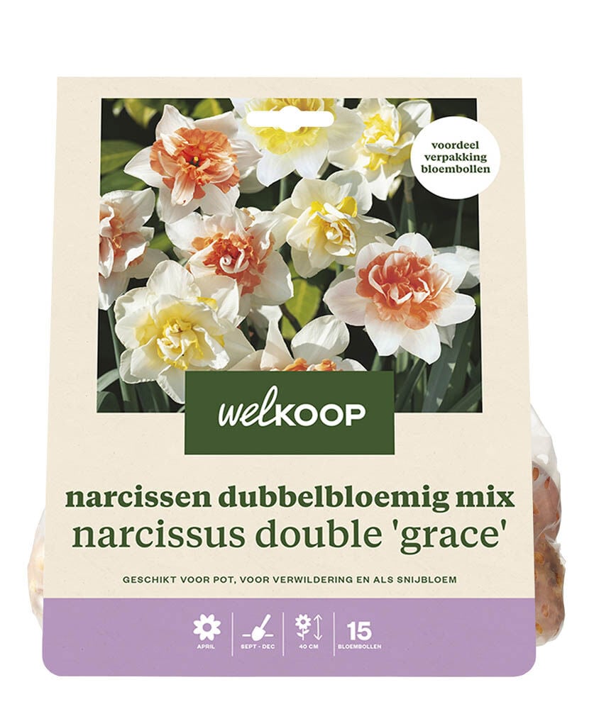 Welkoop Narcissen mix Nova Lily - Bloembollen