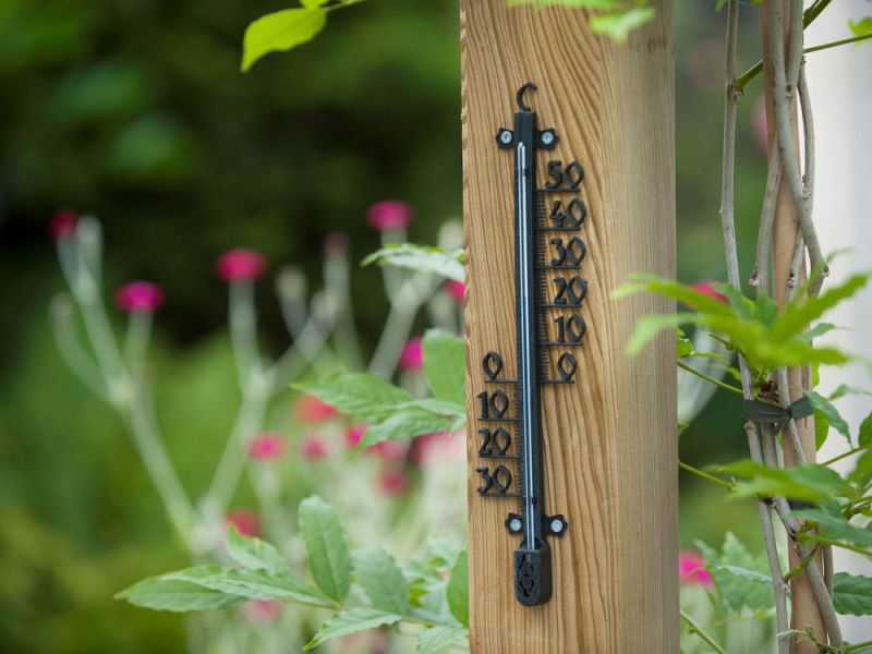 Nature Profielthermometer - Regen- en Thermometers
