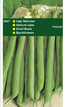 Hortitops Stamslabonen Phaseolus vulgaris Prelude - Groentezaden - 250 Gram