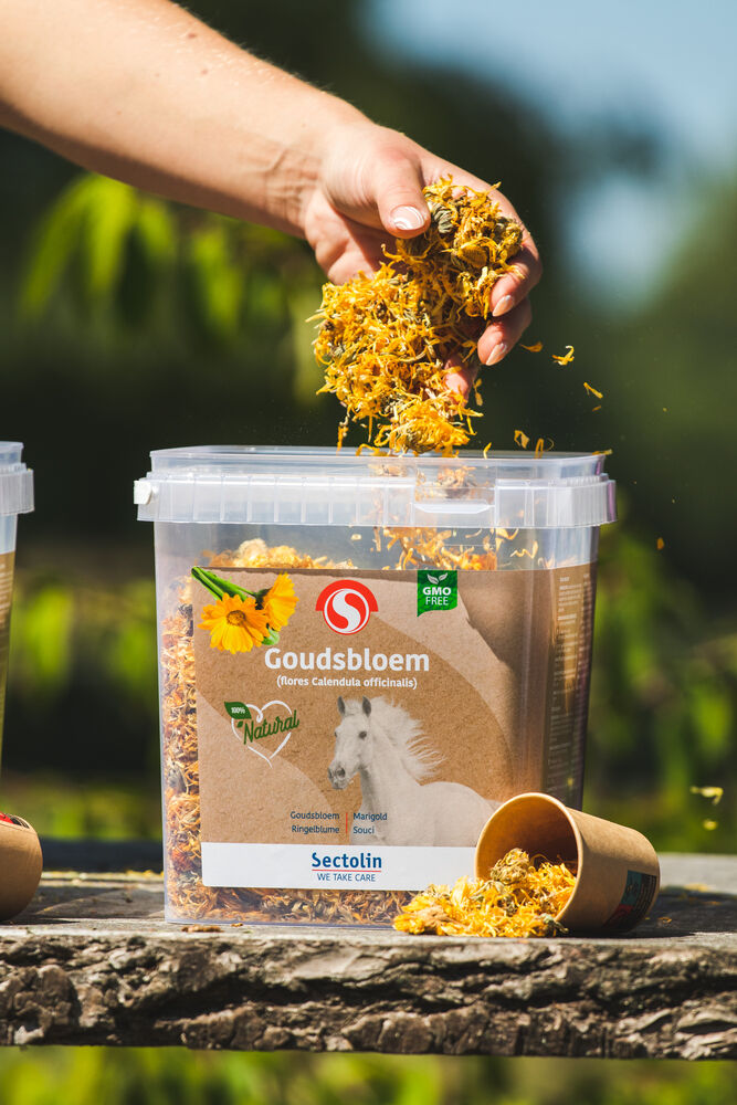 Sectolin Goudsbloem Kruid - Spijsverteringsupplement Paard - 400 Gram