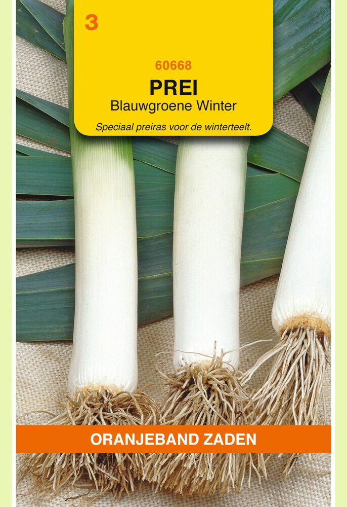 Oranjeband zaden Prei Blauwgroene Winter - Groentezaden