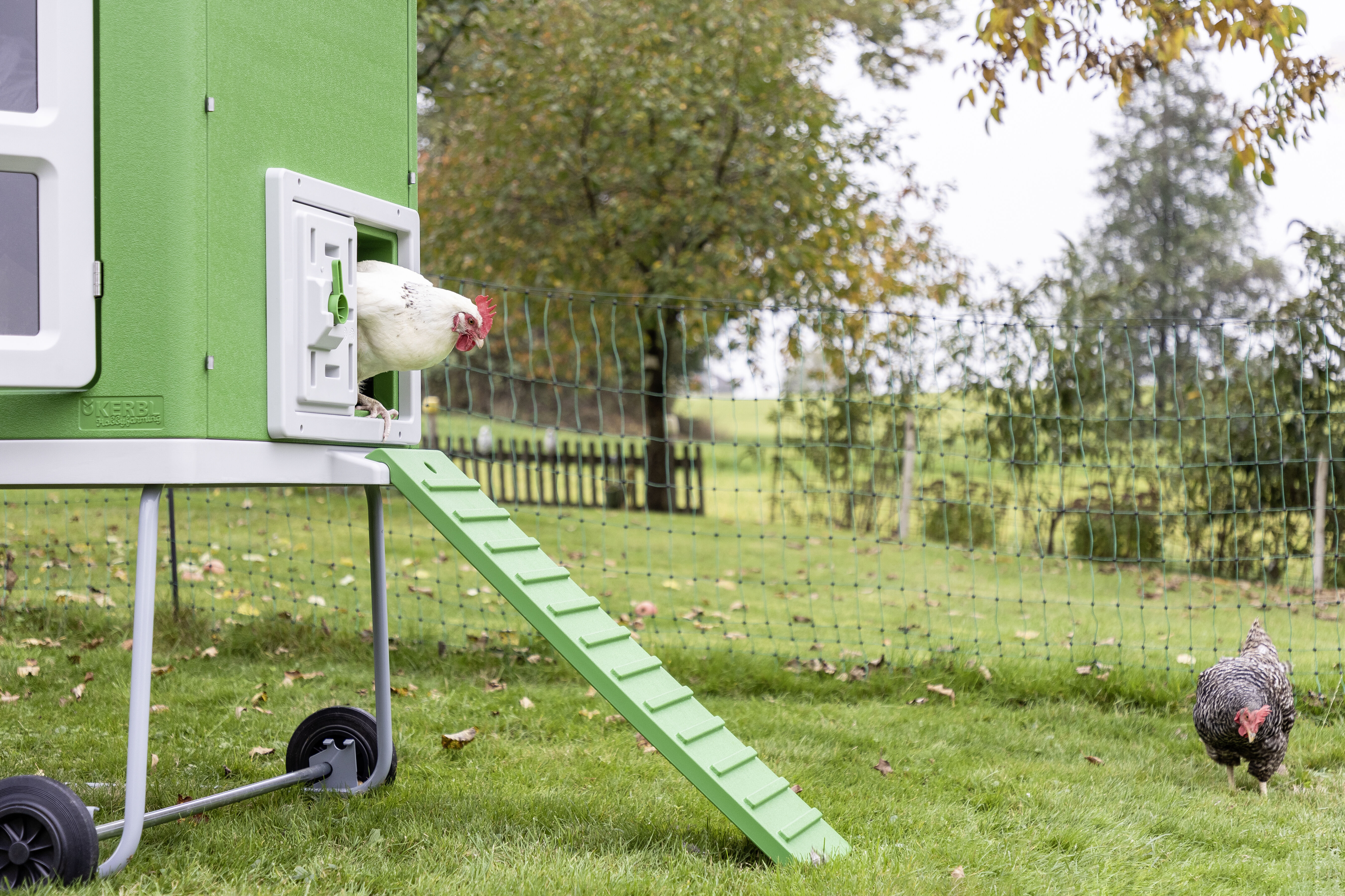 Kerbl  MobileCoop - Kippenhok - 4 tot 6 kippen - Groen - M