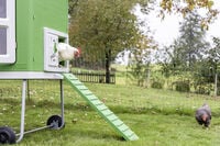 Kerbl  MobileCoop - Kippenhok - 4 tot 6 kippen - Groen - M