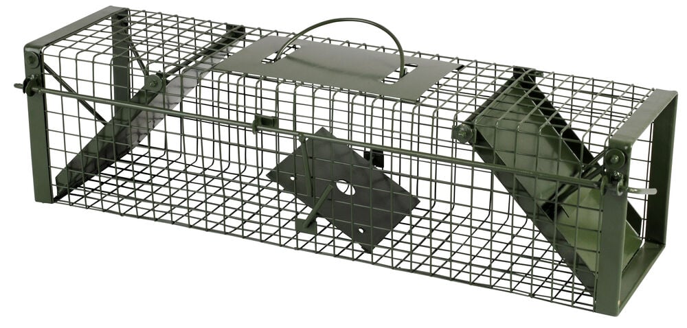 Vangkooi - Tegen ratten - 17x17x100 cm