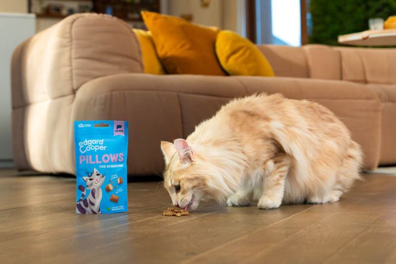 Edgard & Cooper Pillow - Kattensnack - 60 Gram - zalm