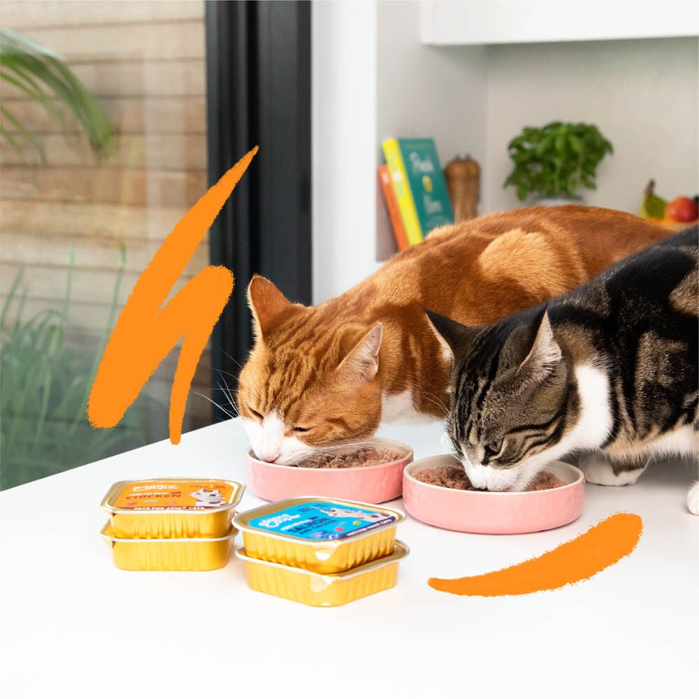 Edgard & Cooper Senior Paté - Kattenvoer - 85 Gram - kalkoen, kip