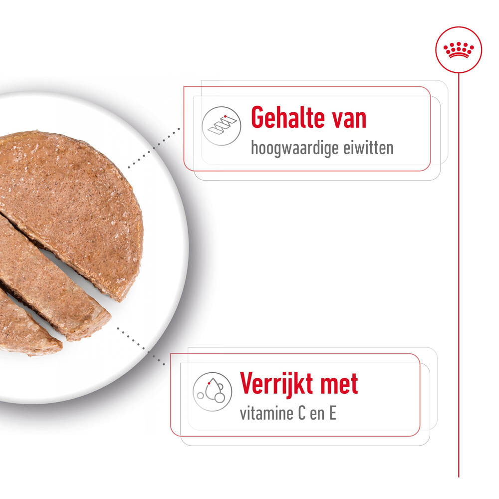 Royal Canin SHN Medium Adult - Hondenvoer - 0.41 Kilogram - gevogelte