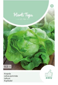 Hortitops Kropsla Lactuca sativa Hilde, verb. Attractie - Groentezaden