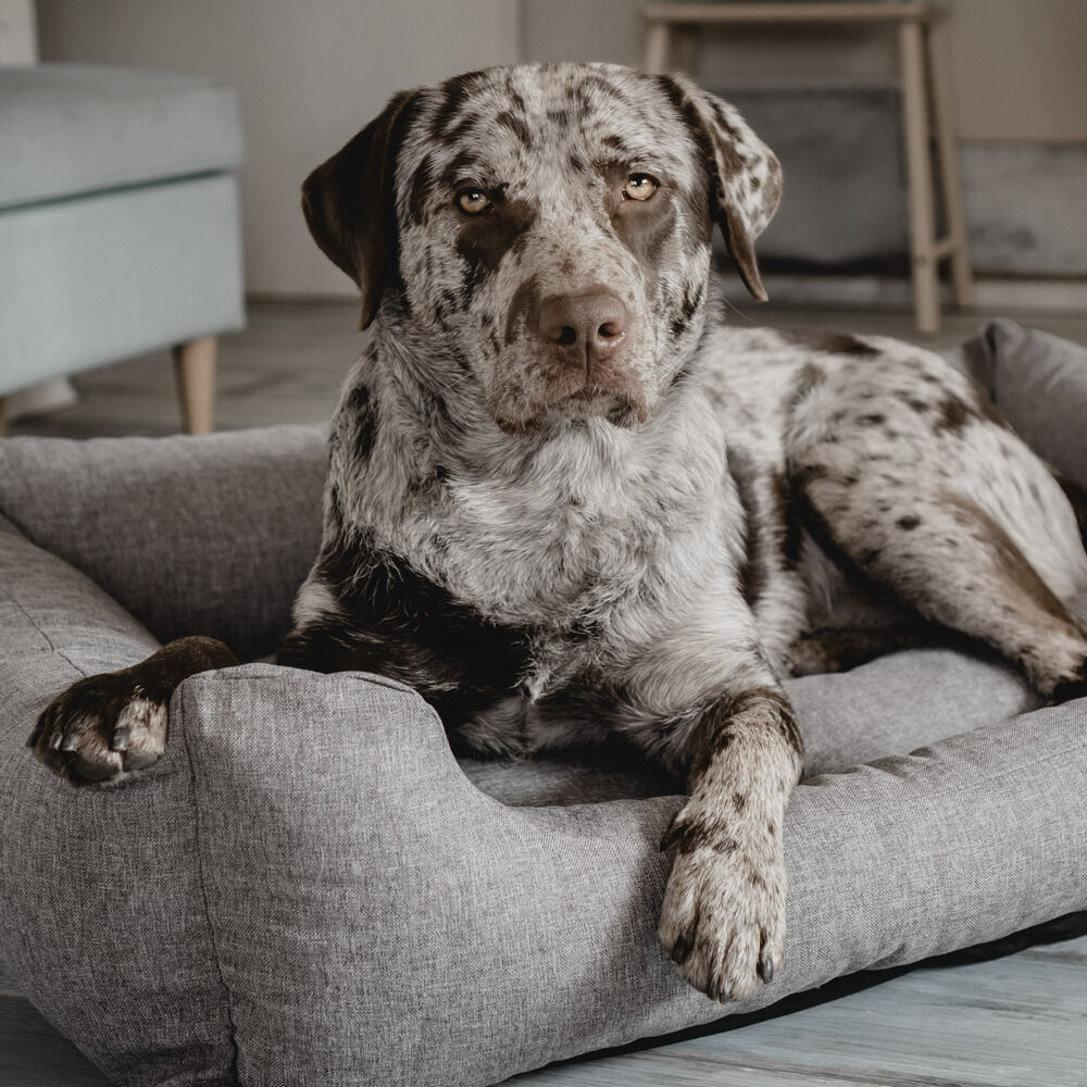 District 70 CLASSIC - Hondenmand - lichtgrijs - 25x60x80 cm - S