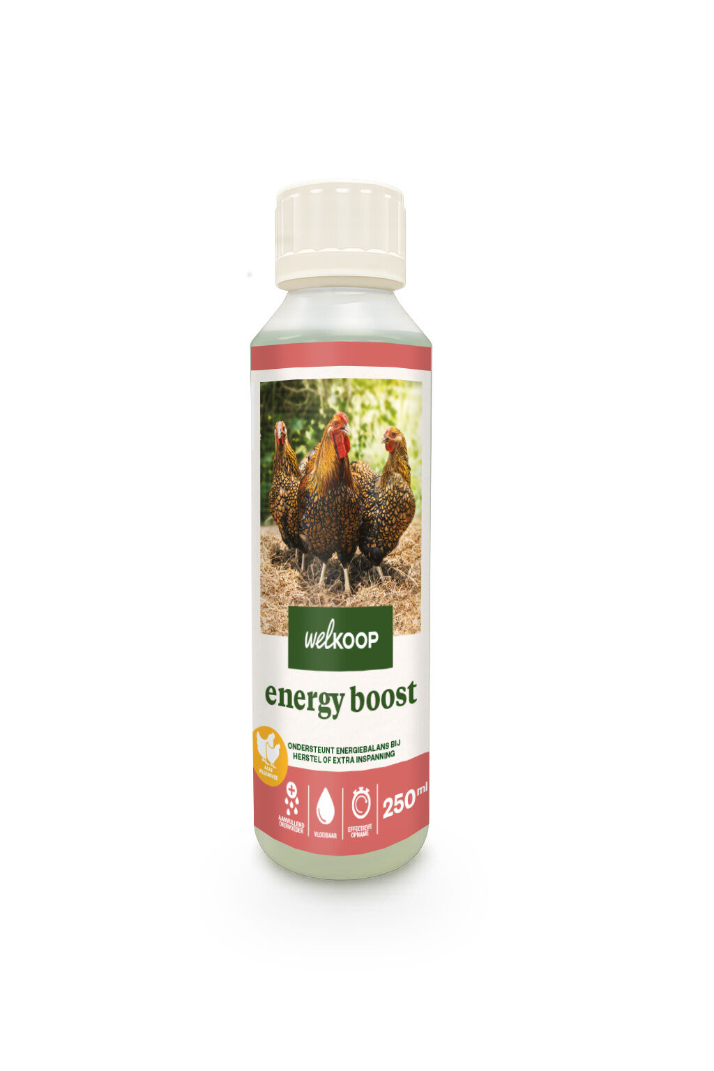 Welkoop - Energie Boost - Kippen supplement - 250 Milliliter