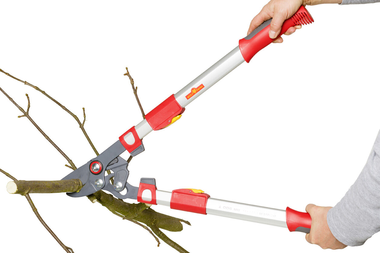 WOLF-Garten RR 900 T Premium Plus - Takkenschaar