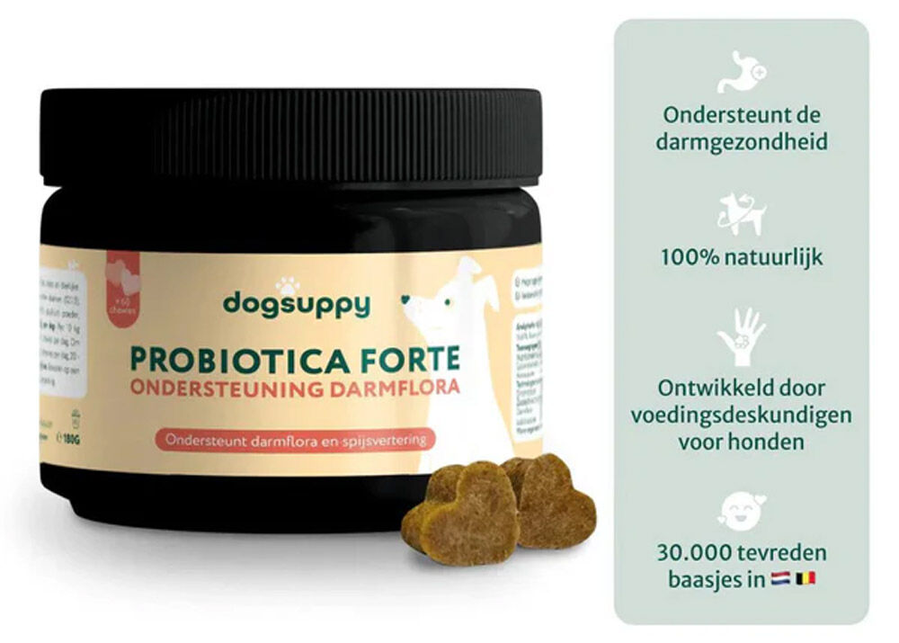 Dogsuppy Probiotica Forte poeder - Spijsvertering en darmflora - 180 Gram