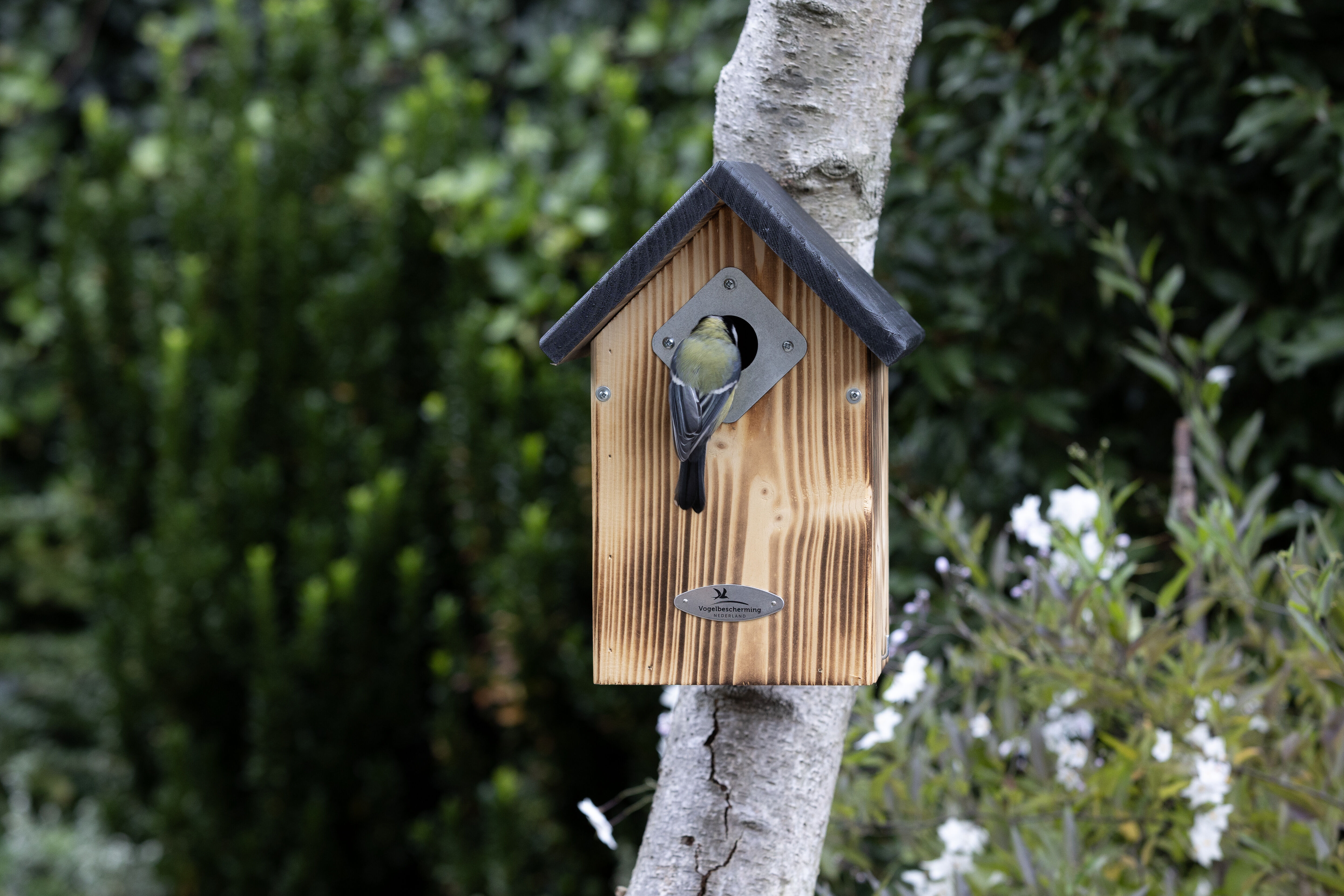 Vogelbescherming - El Paso - Nestkast - Bruin, Zwart
