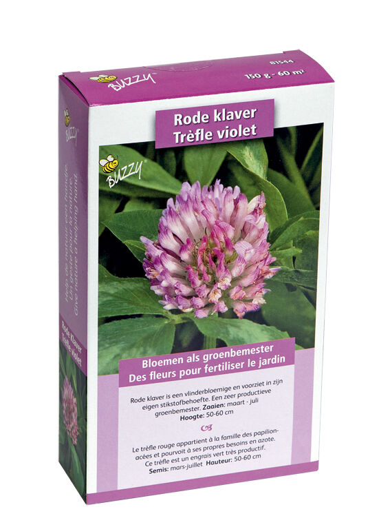 Buzzy Rode klaver Trifolium pratense - Bloemzaden