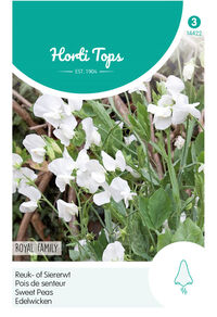 Hortitops Reuk- of Siererwt Royal Wit - Bloemzaden
