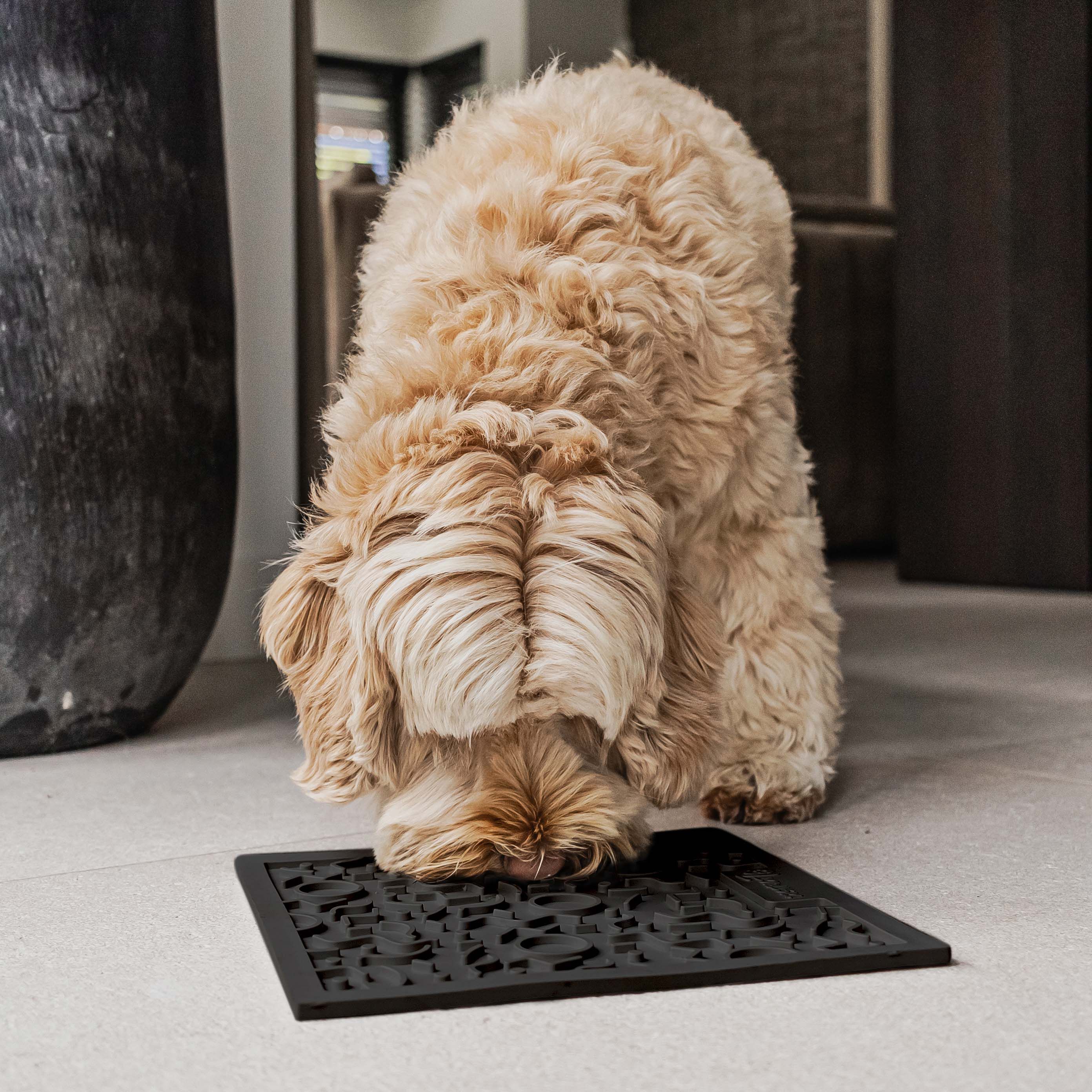 District 70 Quest - Likmat - Antraciet