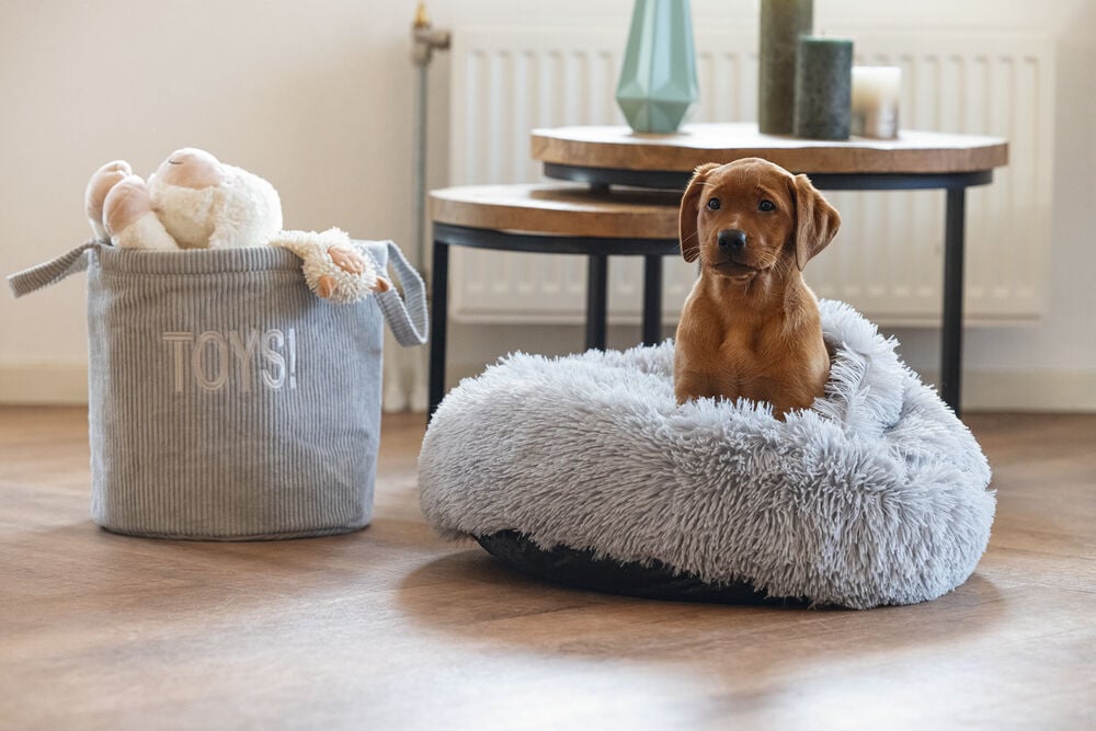 Beeztees Kiki - Hondendeken - grijs - 15x50x50 cm - Klein