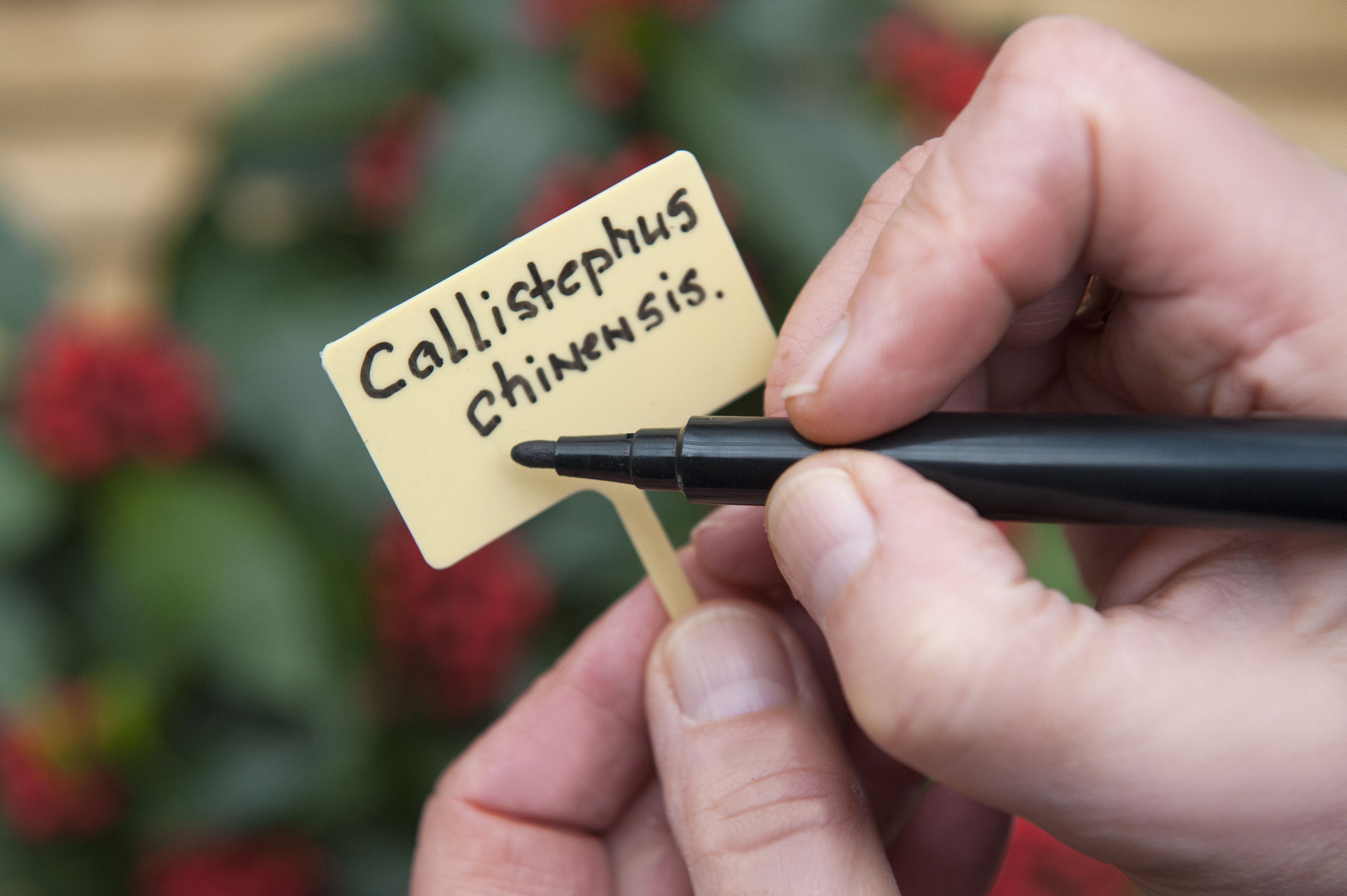 Nature Tuinstiften - Kweekbenodigdheden