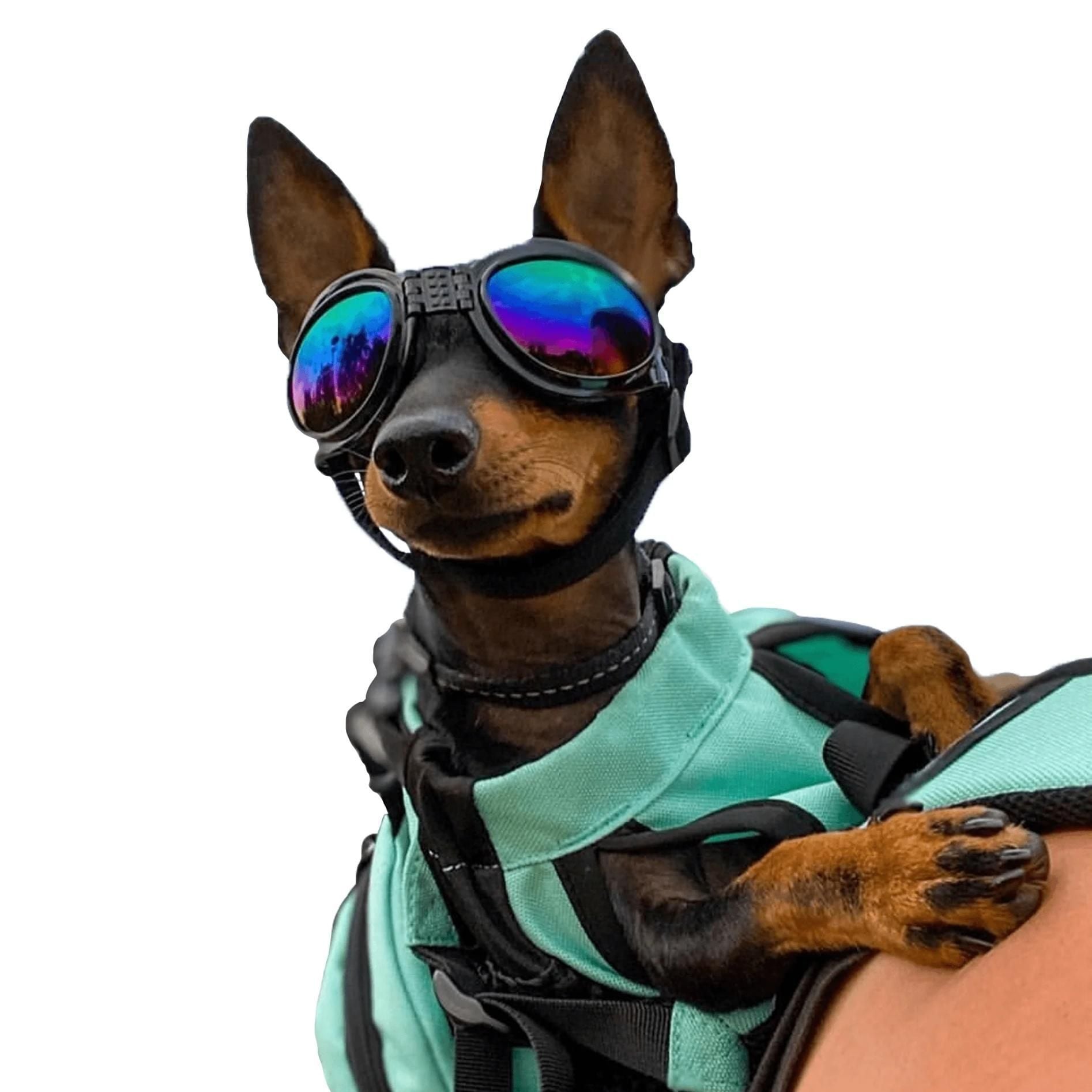 K9 - Hondenzonnebril - zwart