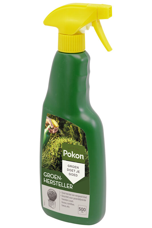 Pokon Buxus groen hersteller - Siertuinmeststof - 500 Milliliter
