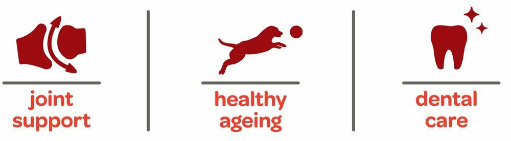 Smölke Senior Maxi - Hondenvoer - 12 Kilogram - kip, lam, vis