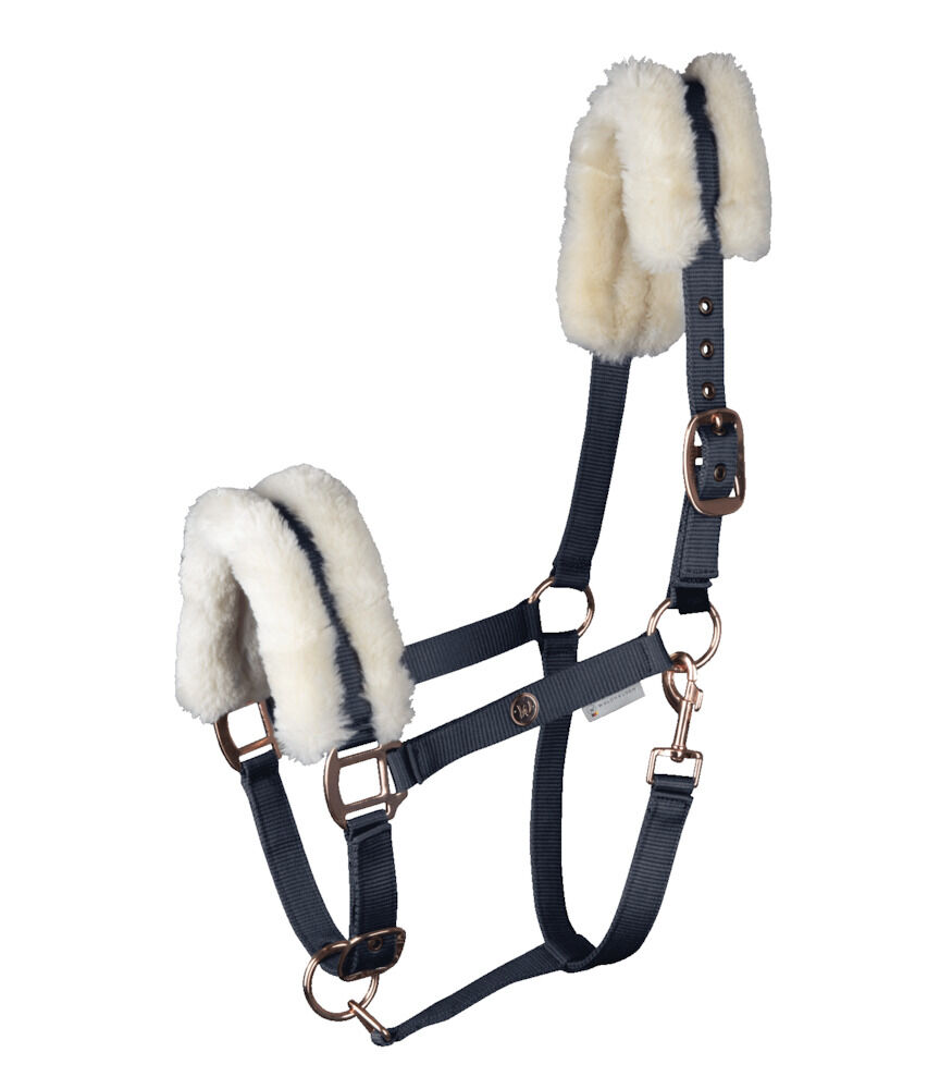 Waldhausen Modern Rose - Halster - Blauw - Cob