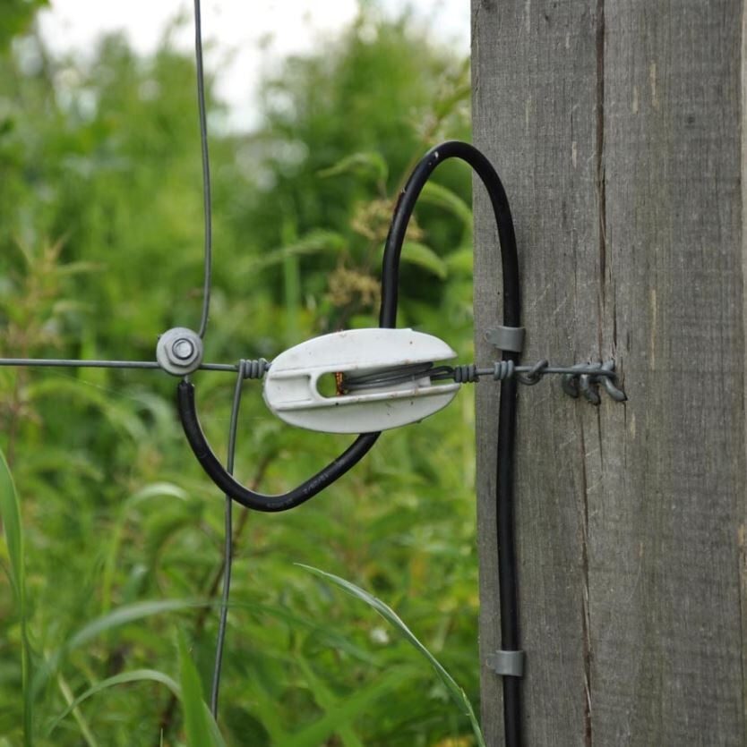 Gallagher  - Grondkabel - 25 cm - 25 Meter - Zwart - 24 cm - 2500 cm