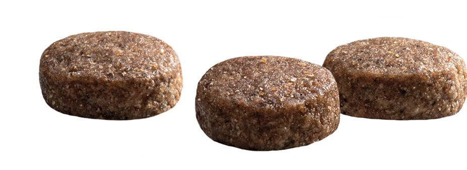 Prins Protection Croque Senior Fit - Hondenvoer - 2 Kilogram - kip