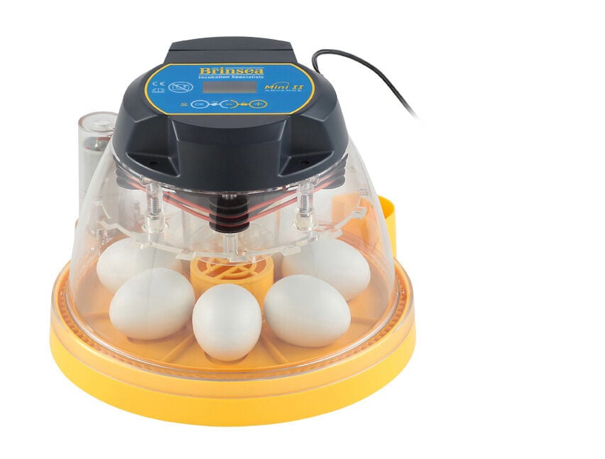 Brinsea Mini 2 Eco - Broedmachine Brinsea Mini 2 Eco - Broedmachine