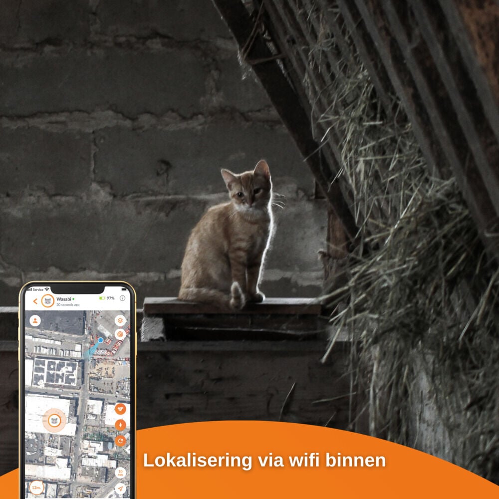 Weenect XS - GPS Tracker Kat - Wit/Oranje