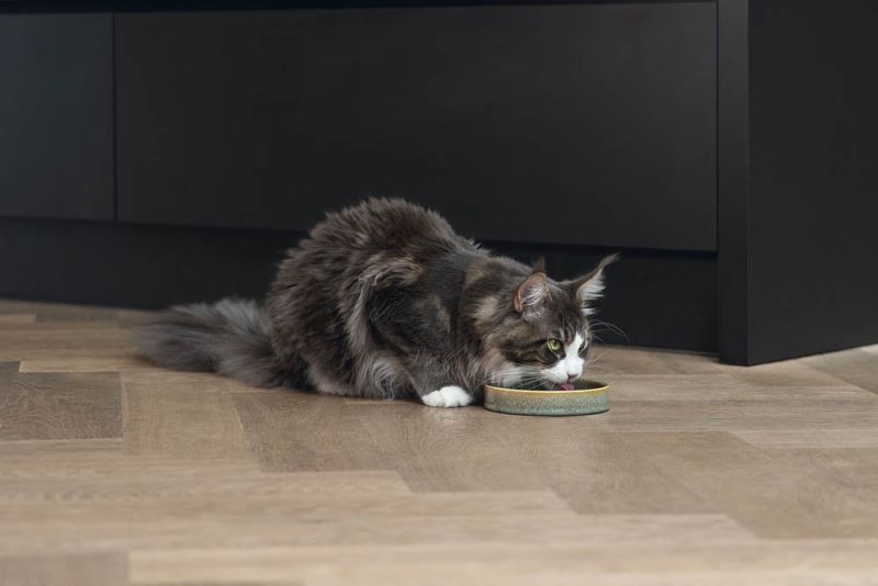 Designed by Lotte Jace - Voerbak - 300 l - Groen - 3x15x15 cm - 15 cm